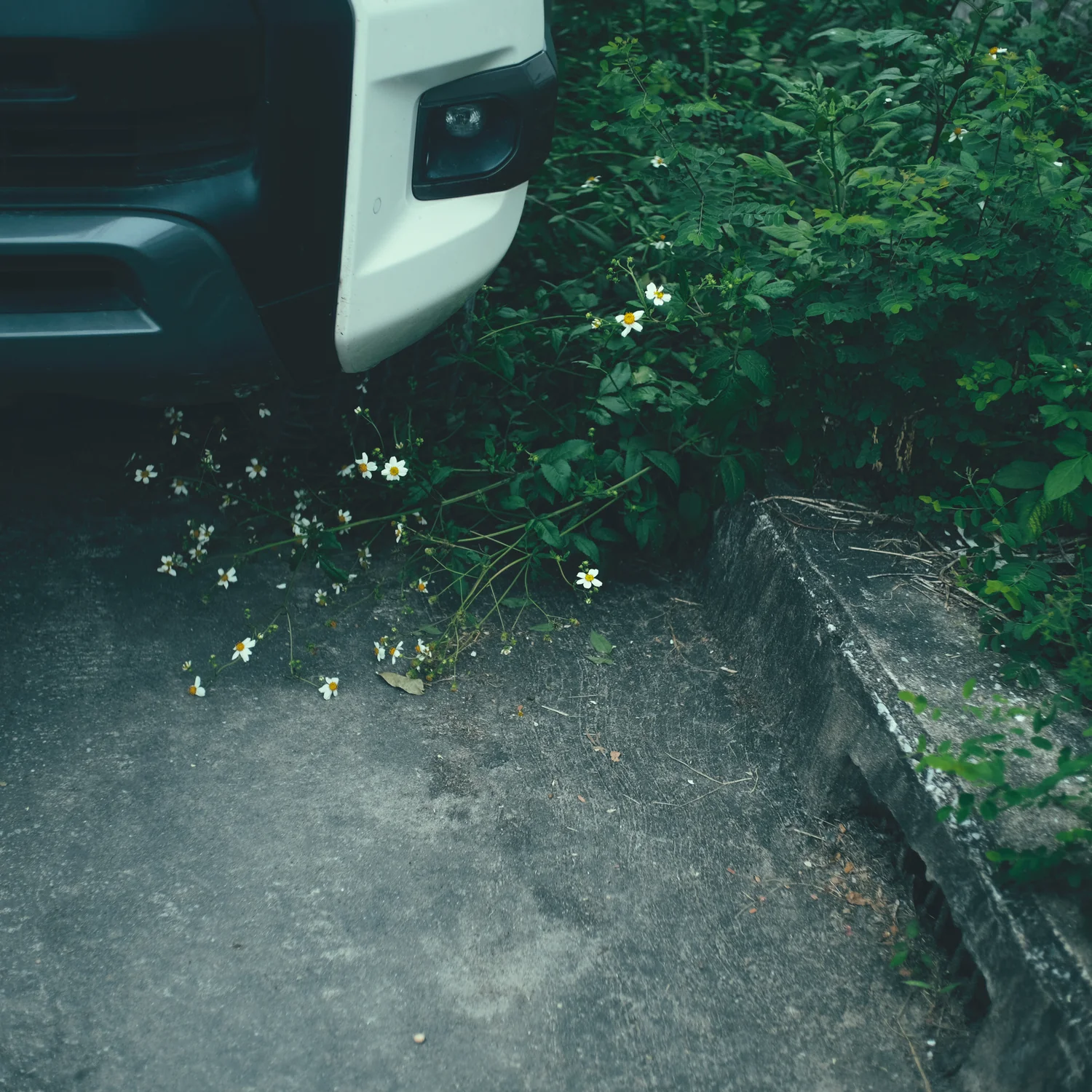 All My Bed Were Temporary - Image 2