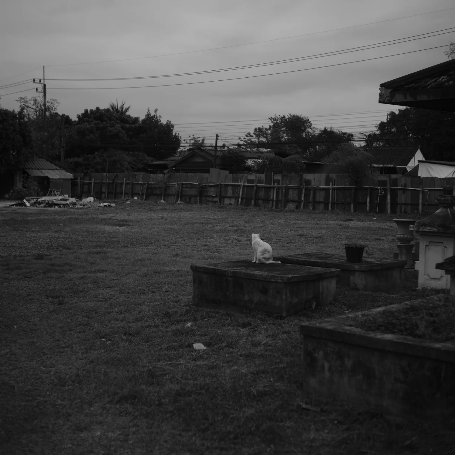 All My Bed Were Temporary - Image 4