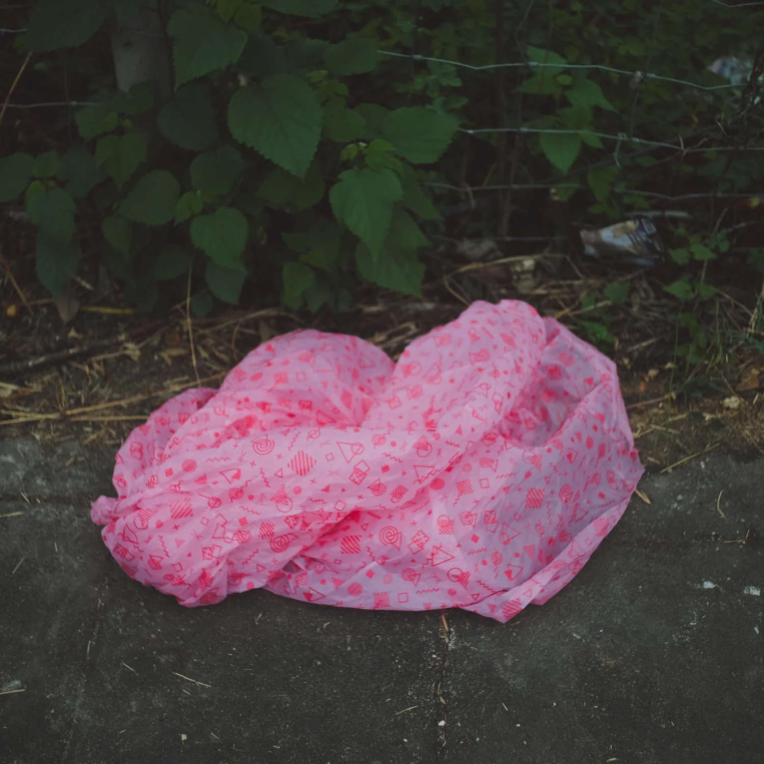 All My Bed Were Temporary - Image 5