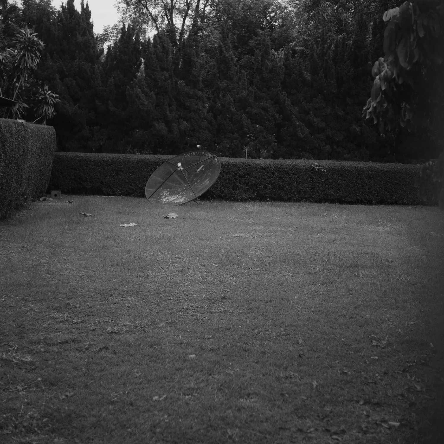 All My Bed Were Temporary - Image 6