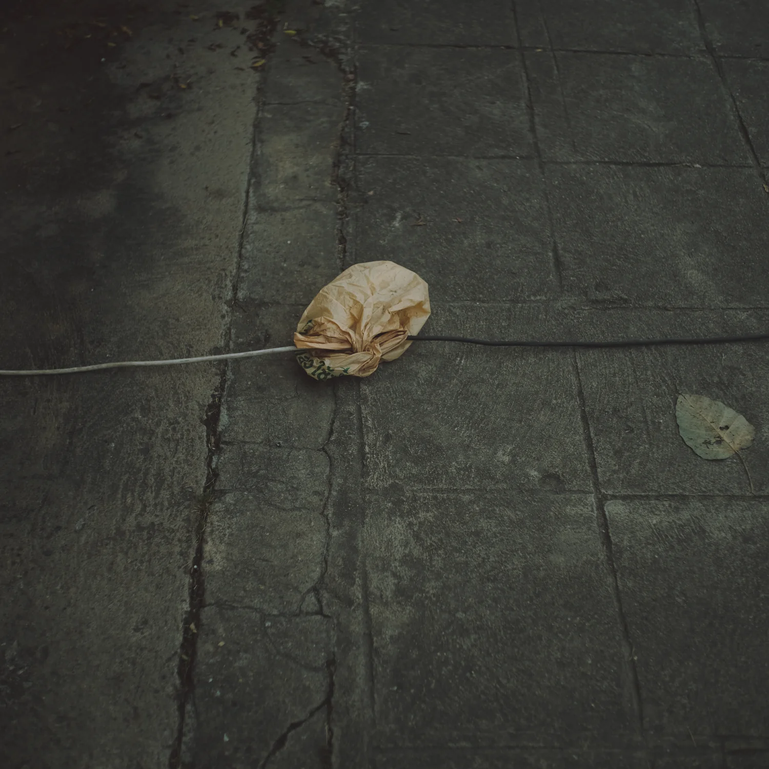 All My Bed Were Temporary - Image 8