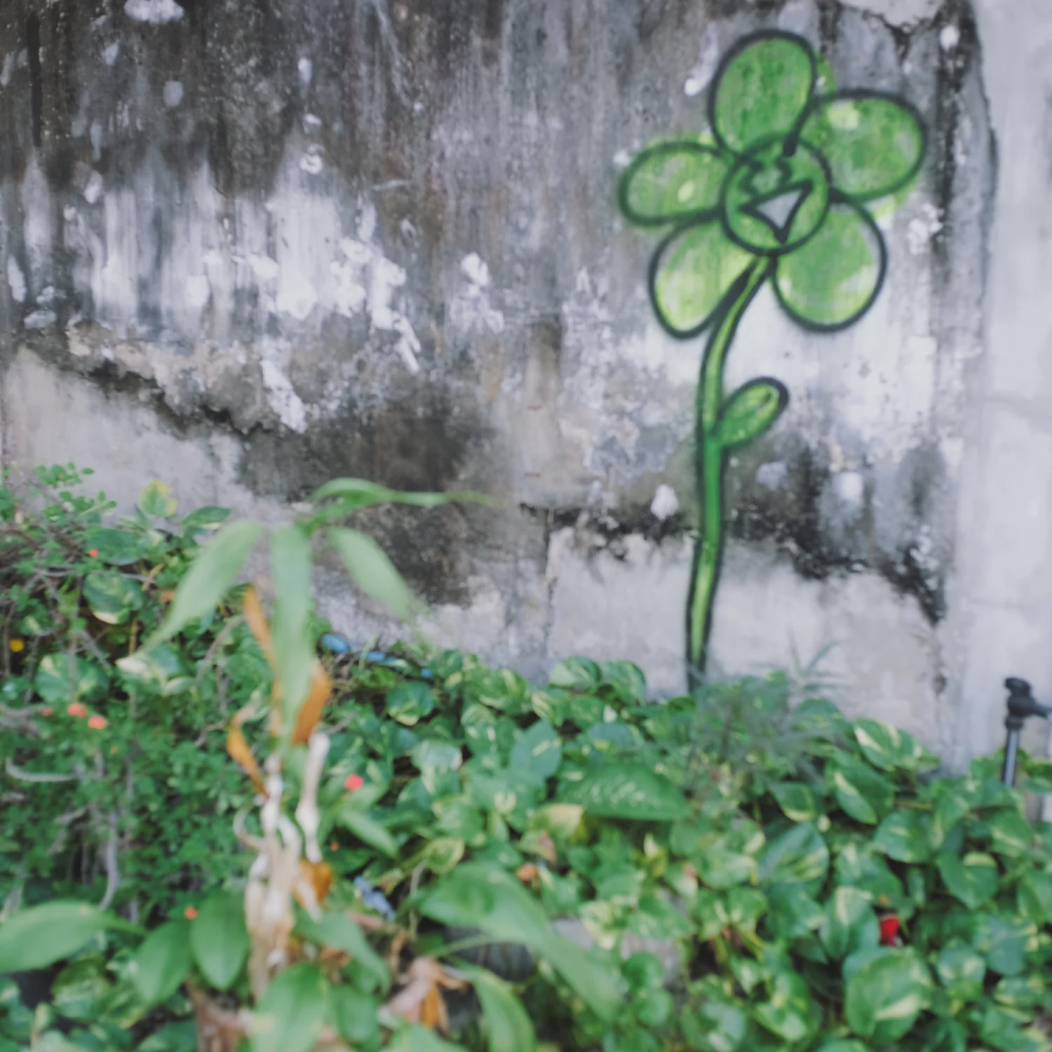 All My Bed Were Temporary - Image 13