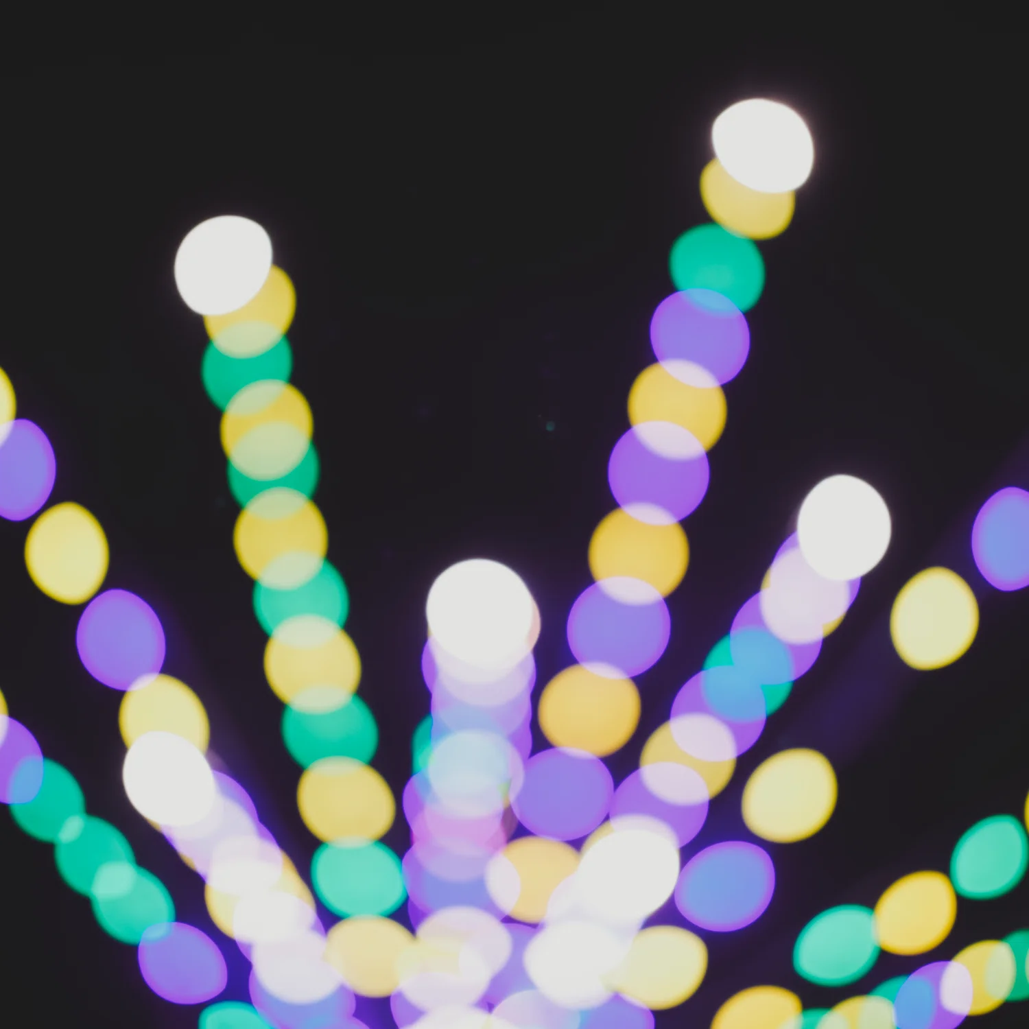 All My Bed Were Temporary - Image 18