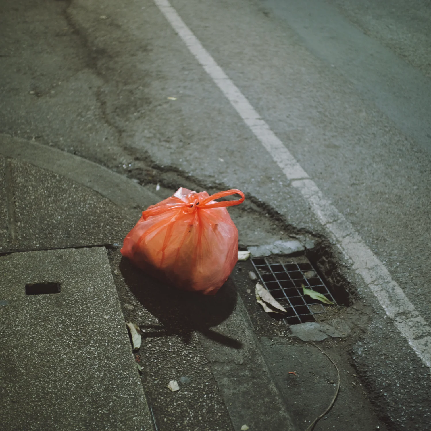 All My Bed Were Temporary - Image 19