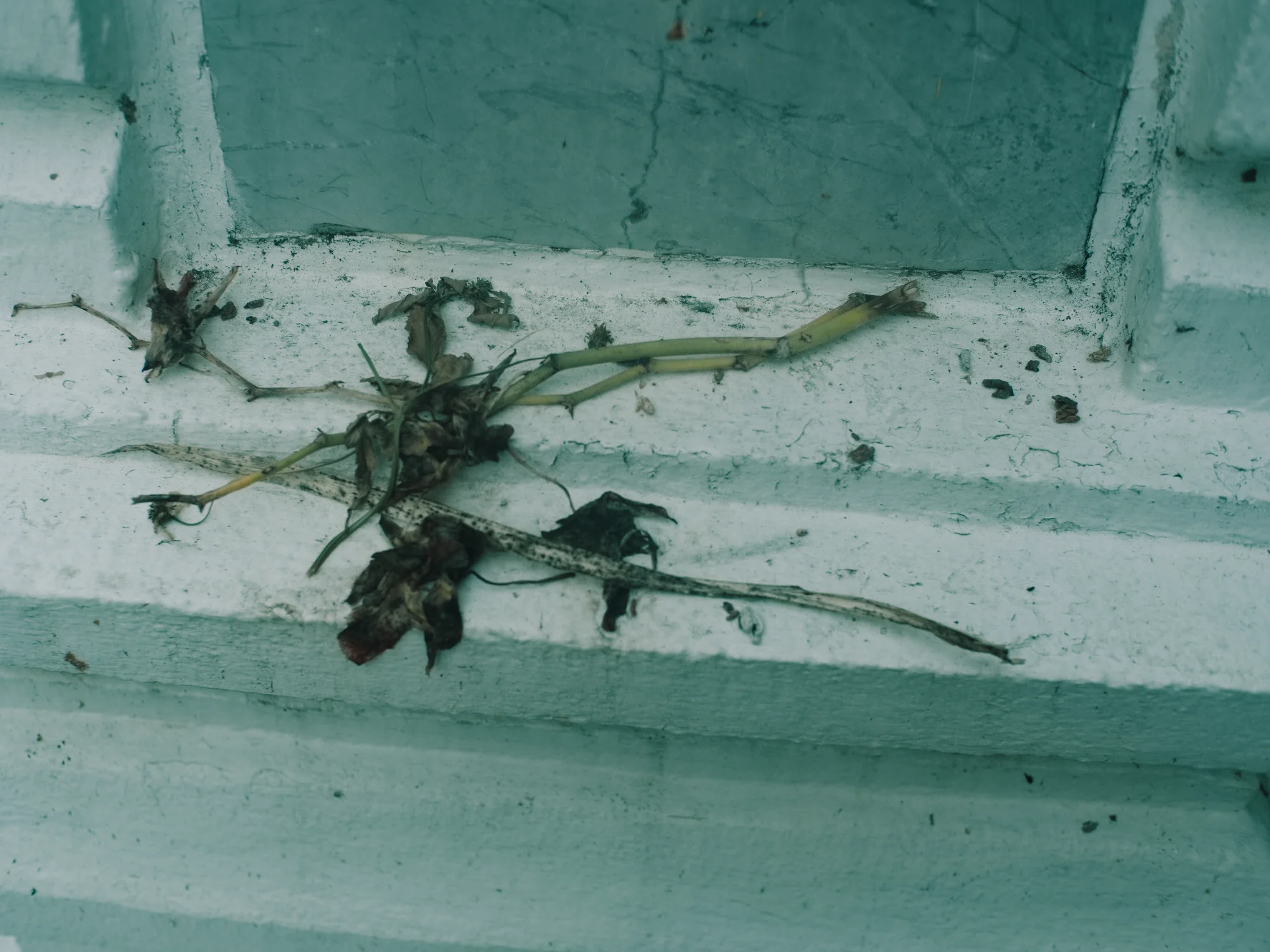 I Dont Belong Anywhere - Image 2