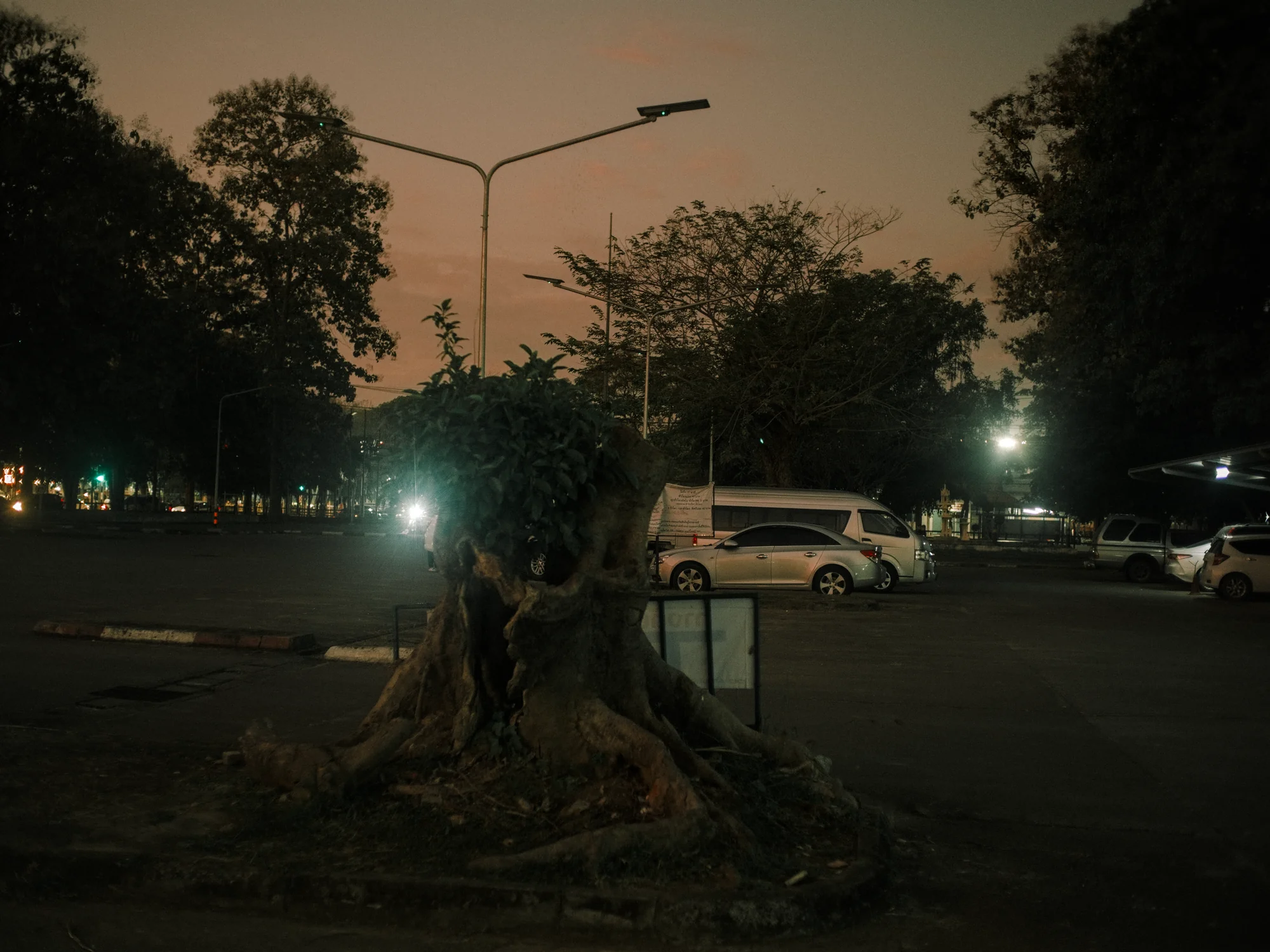 I Dont Belong Anywhere - Image 3