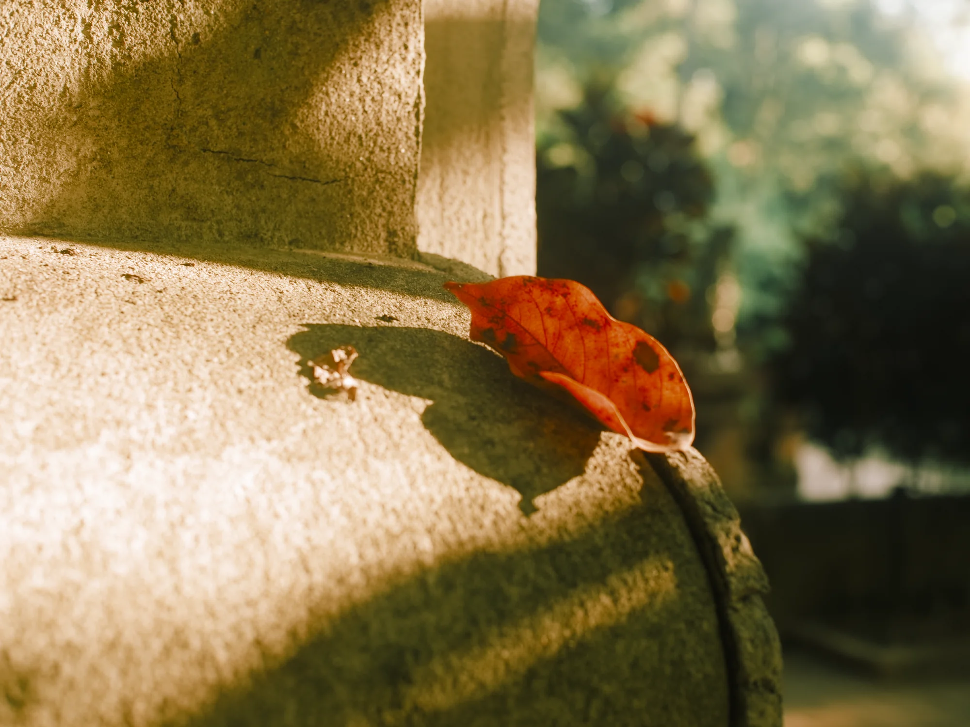 I Dont Belong Anywhere - Image 6