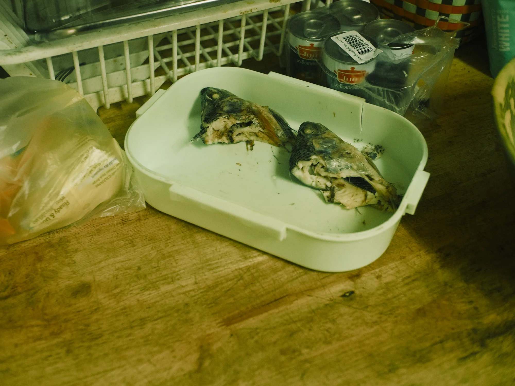 I Dont Belong Anywhere - Image 9