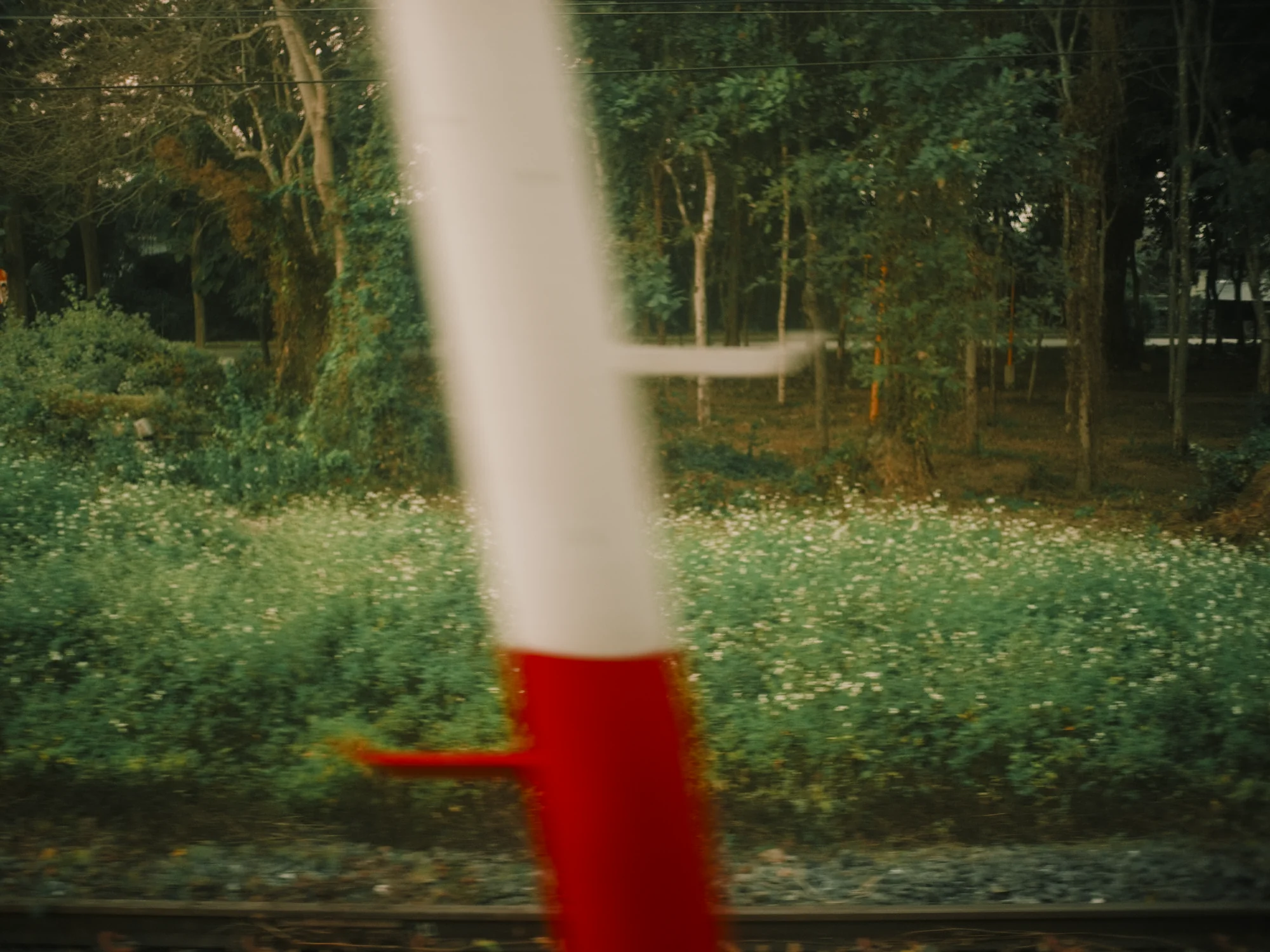 I Dont Belong Anywhere - Image 16