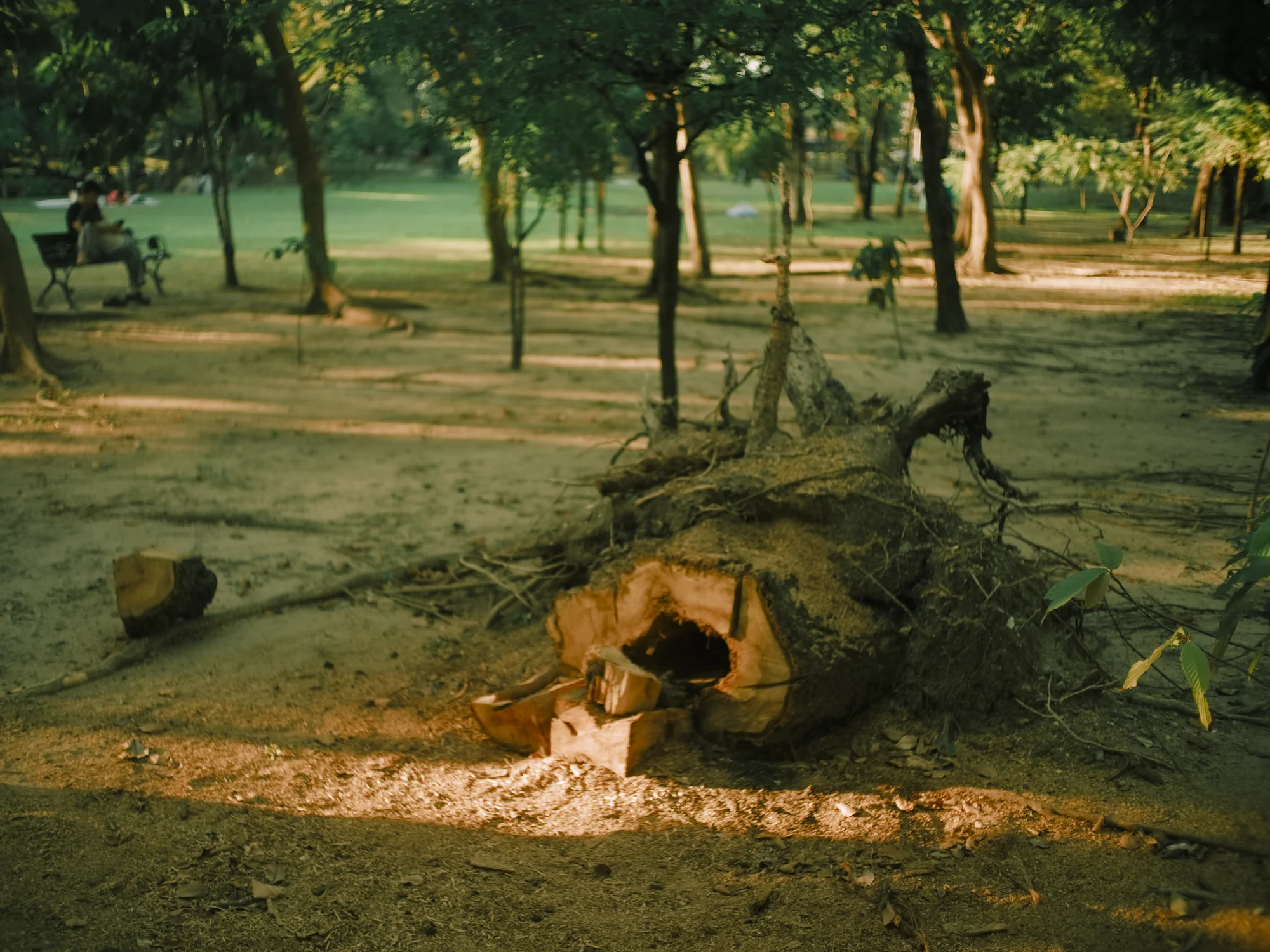 I Dont Belong Anywhere - Image 21