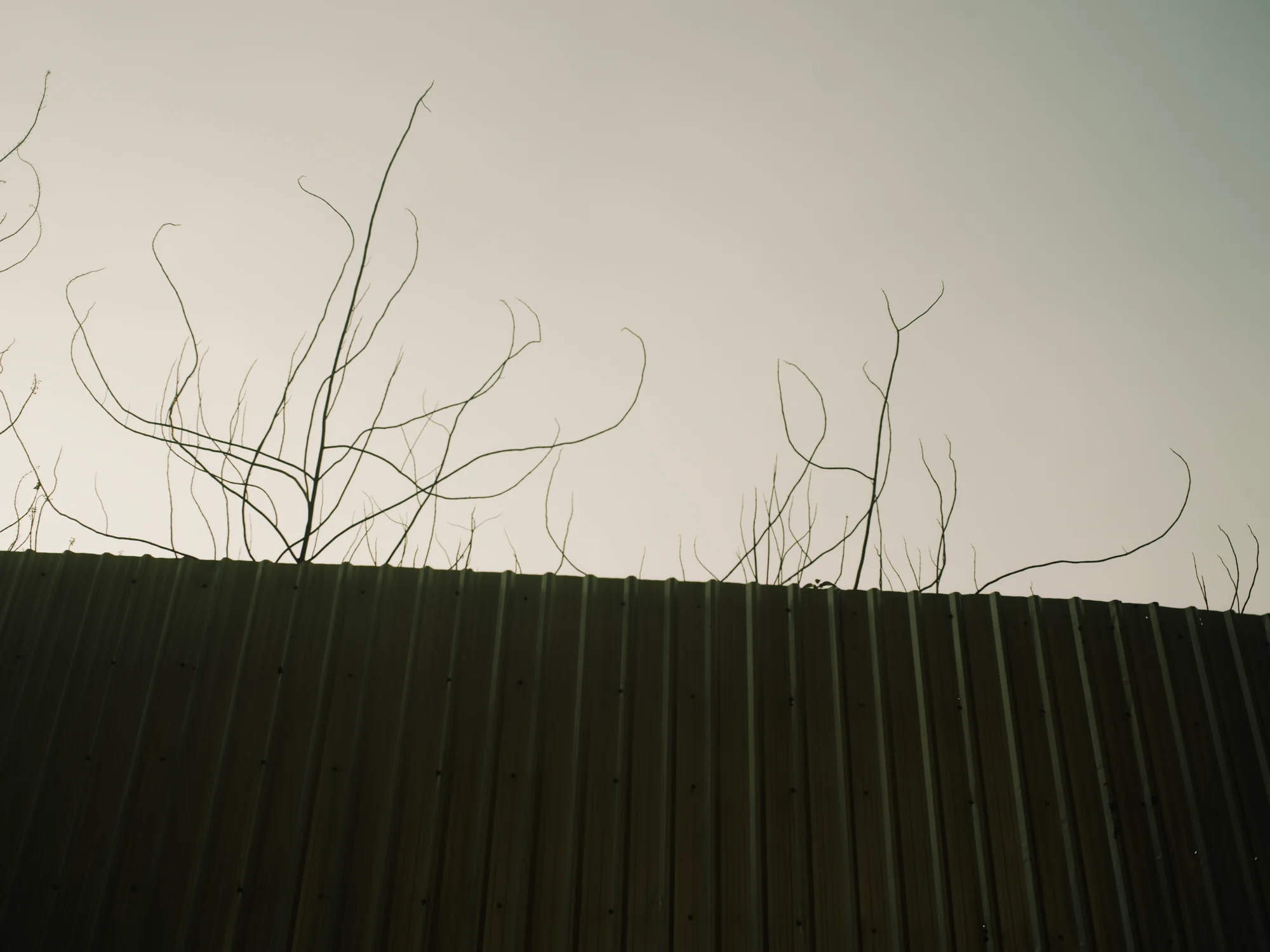 I Dont Belong Anywhere - Image 23