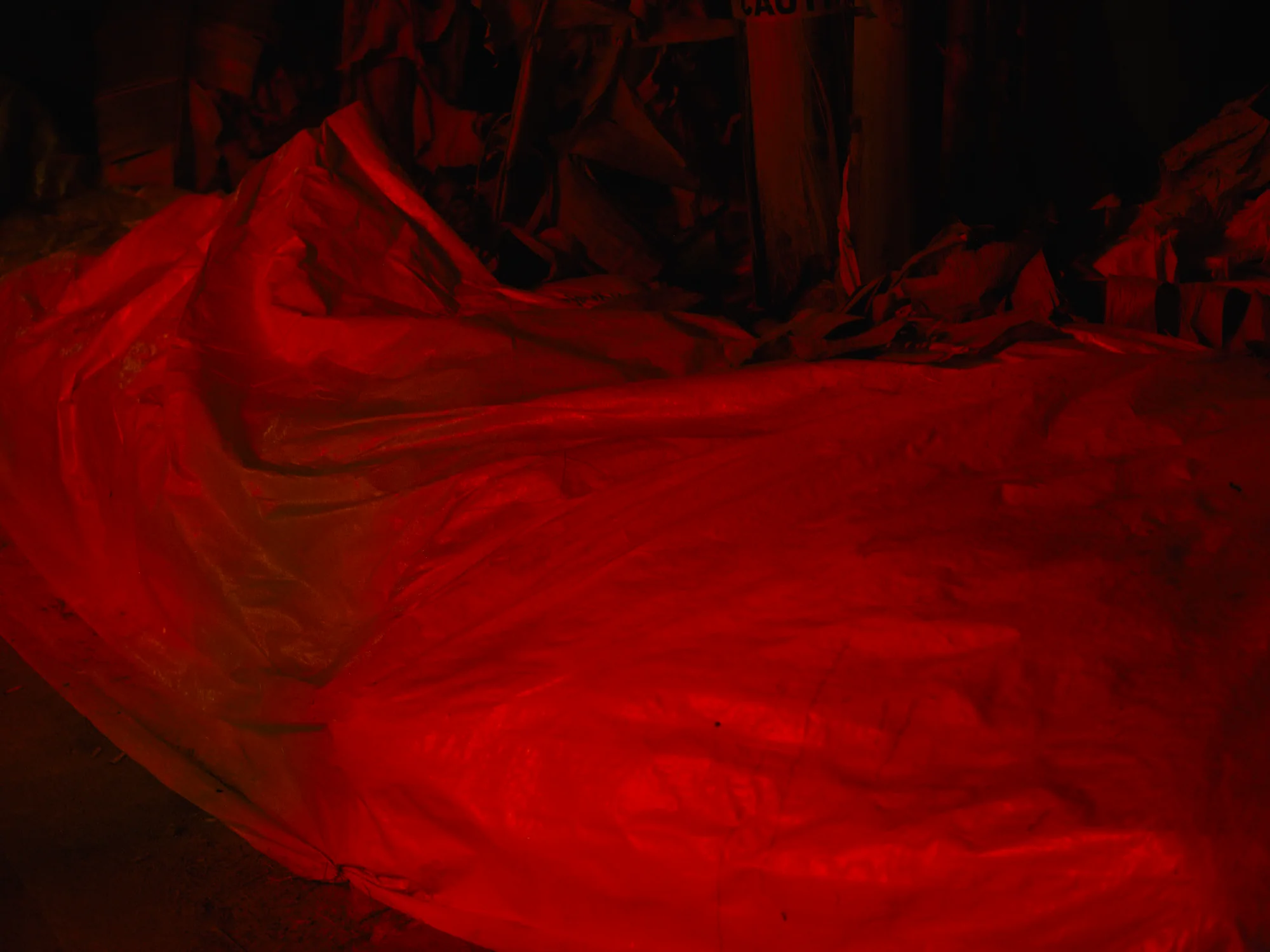 I Dont Belong Anywhere - Image 27